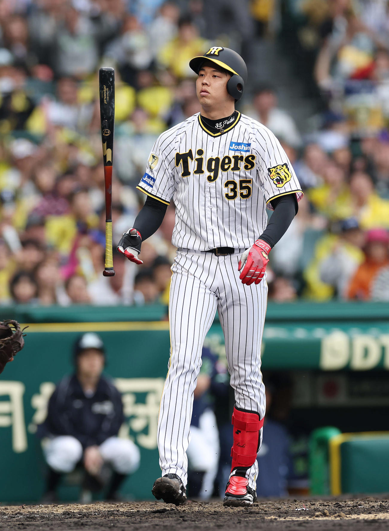 阪神対ヤクルト　4回裏阪神無死満塁、勝ち越しの押し出し四球を選ぶ才木（撮影・前田充）