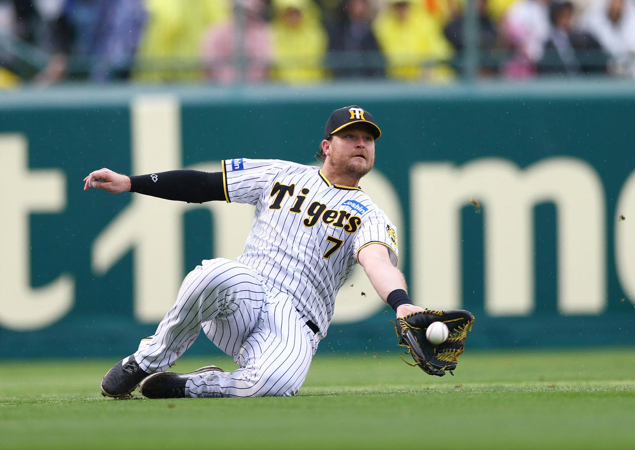 阪神対ヤクルト　7回表ヤクルト2死一塁、左翼手ノイジーは長岡の飛球を好捕する（撮影・上山淳一）