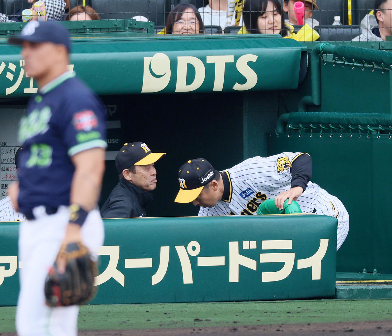阪神対ヤクルト　4回裏阪神無死満塁、打者才木の場面で今岡コーチ（右）に作戦を伝える岡田監督（撮影・加藤哉）