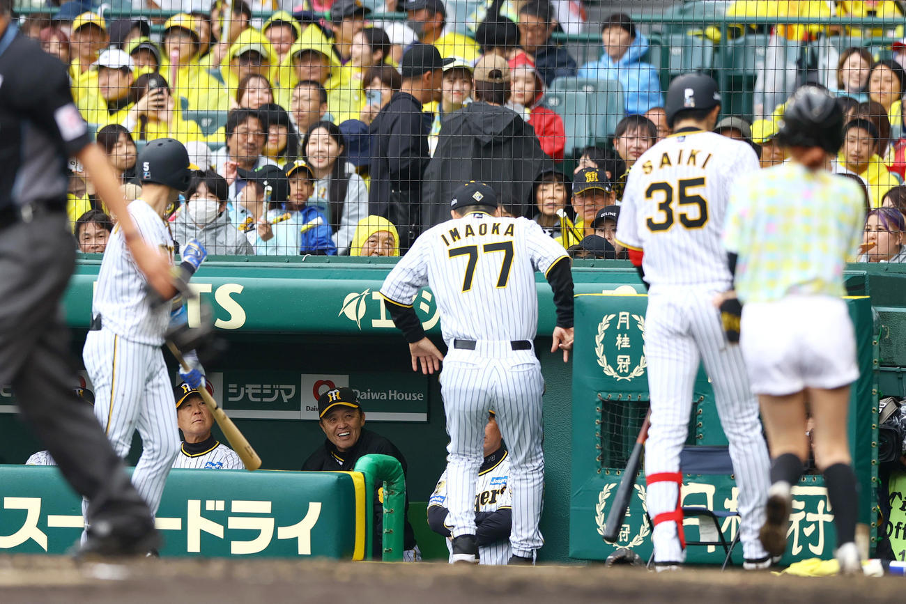 阪神対ヤクルト　4回裏阪神無死満塁、才木（右）に伝言の今岡打撃コーチ（右から2人目）がベンチに戻り笑顔を見せる岡田監督（左から3人目）（撮影・上山淳一）