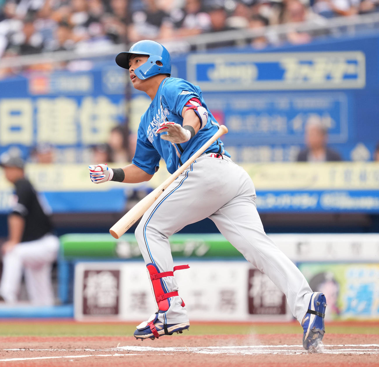 ロッテ対日本ハム　7回表日本ハム1死、左越えにソロ本塁打を放つ野村（撮影・菅敏）