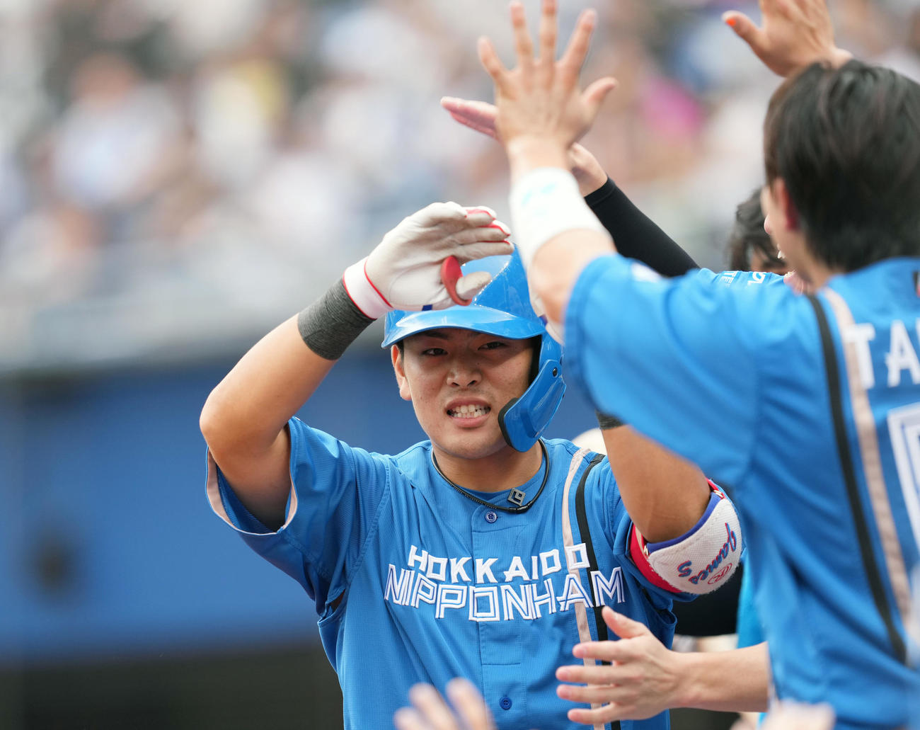 ロッテ対日本ハム　7回表日本ハム1死、左越えにソロ本塁打を放ち、タッチで迎えられる野村（撮影・菅敏）