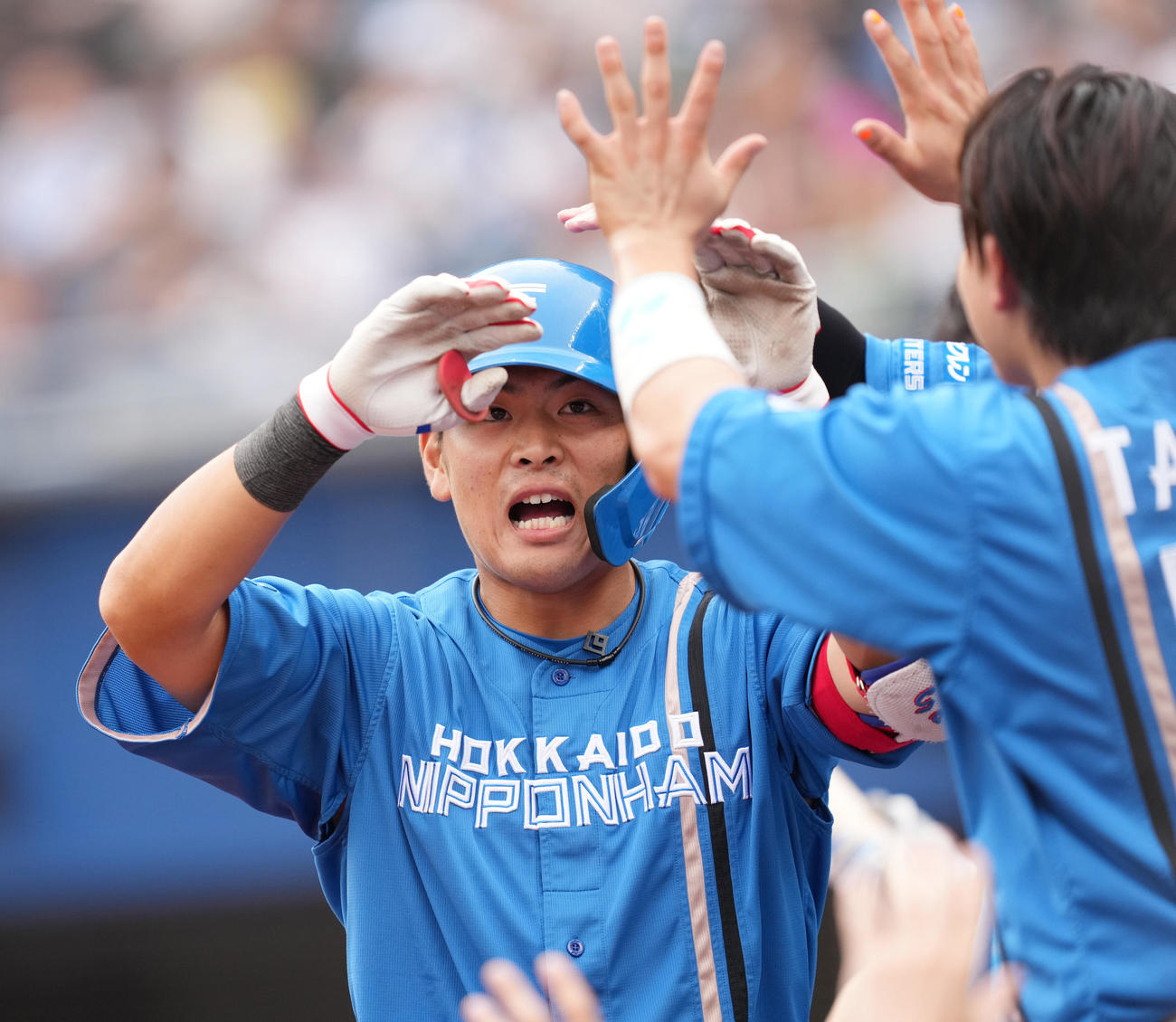 ロッテ対日本ハム　7回表日本ハム1死、左越えにソロ本塁打を放ち、タッチで迎えられる野村（撮影・菅敏）