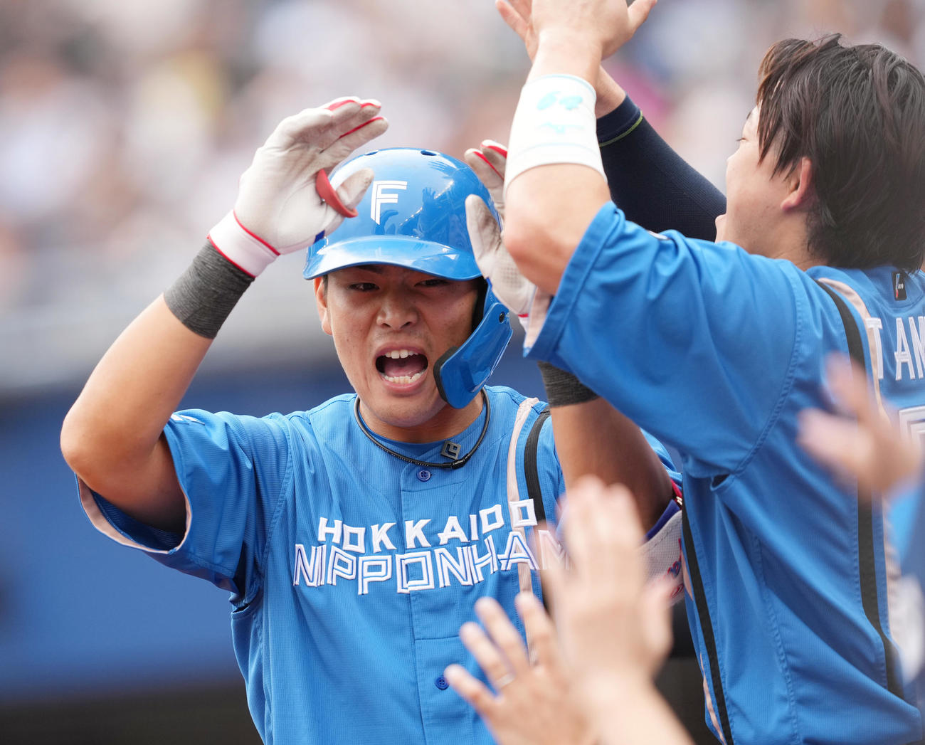 ロッテ対日本ハム　7回表日本ハム1死、左越えにソロ本塁打を放ち、タッチで迎えられる野村（撮影・菅敏）