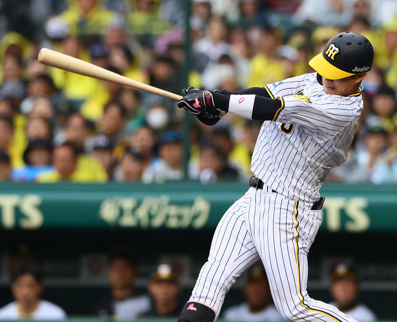阪神対ヤクルト　4回裏阪神無死一、二塁、木浪は右前打を放つ（撮影・上山淳一）