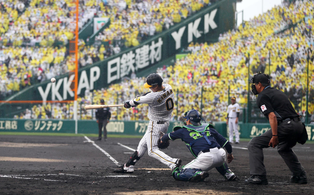 阪神対ヤクルト　2回裏阪神1死三塁、木浪は右飛を放ち犠飛とする（撮影・上山淳一）