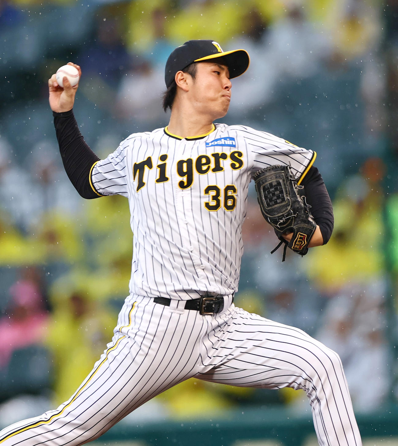 阪神対ヤクルト　9回に登板の阪神浜地（撮影・上山淳一）
