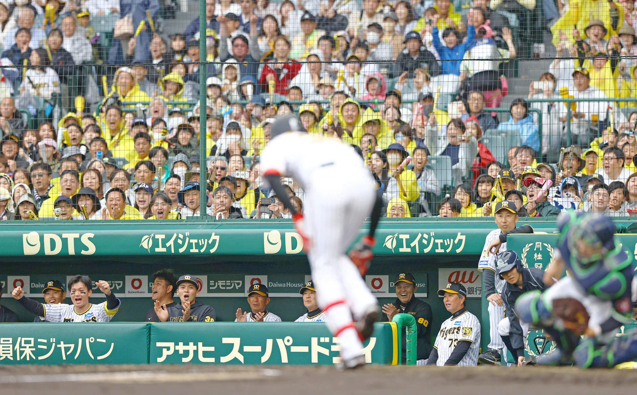 阪神対ヤクルト　4回裏阪神無死満塁、才木が押し出し四球を選び盛り上がる岡田監督ら（撮影・上山淳一）