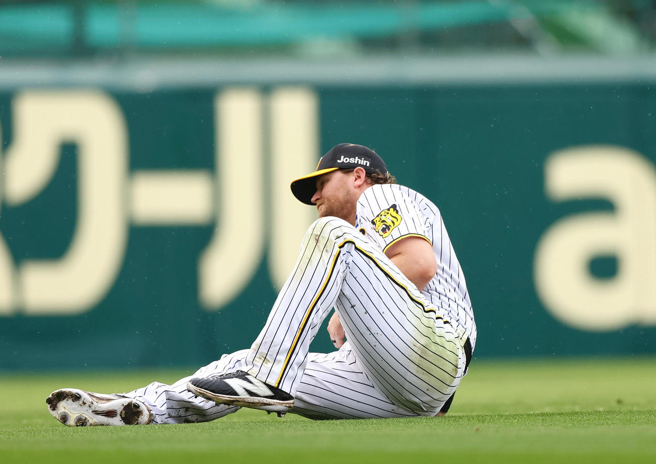 阪神対ヤクルト　7回表ヤクルト2死一塁、左翼手ノイジーは長岡の飛球を好捕する（撮影・上山淳一）