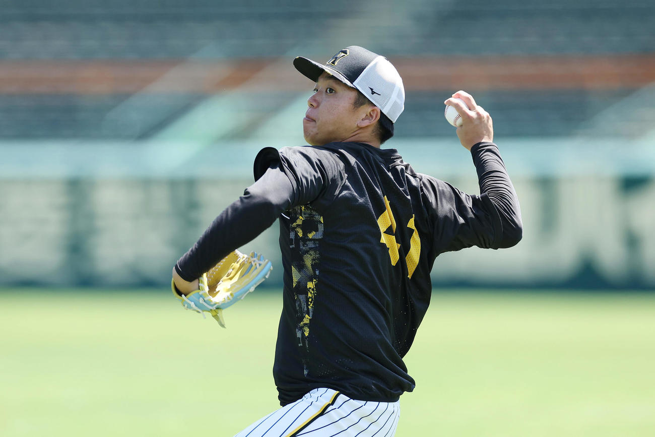 キャッチボールで調整する阪神村上（撮影・前田充）