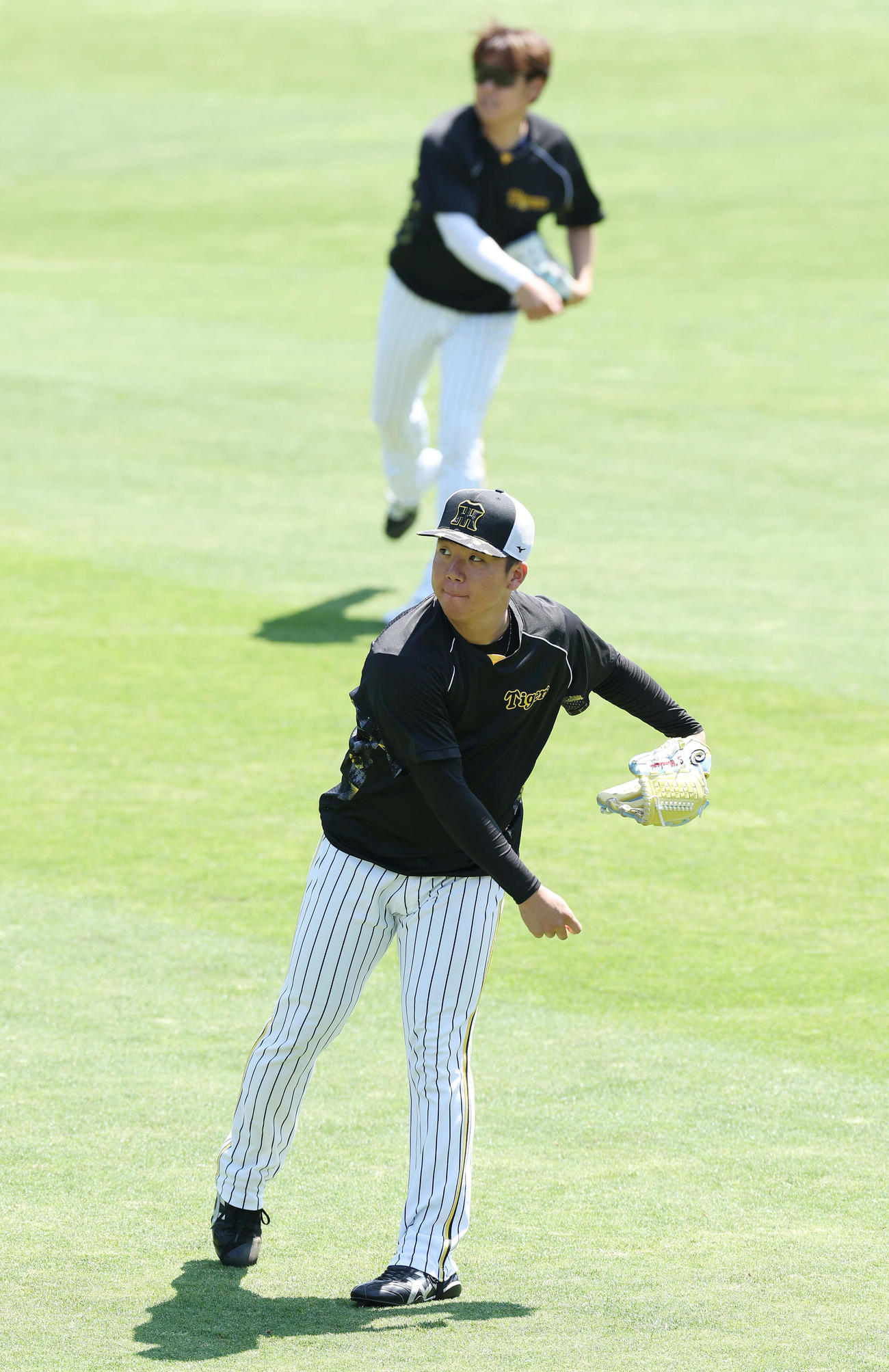 キャッチボールで調整する阪神村上（手前）と西勇（撮影・前田充）