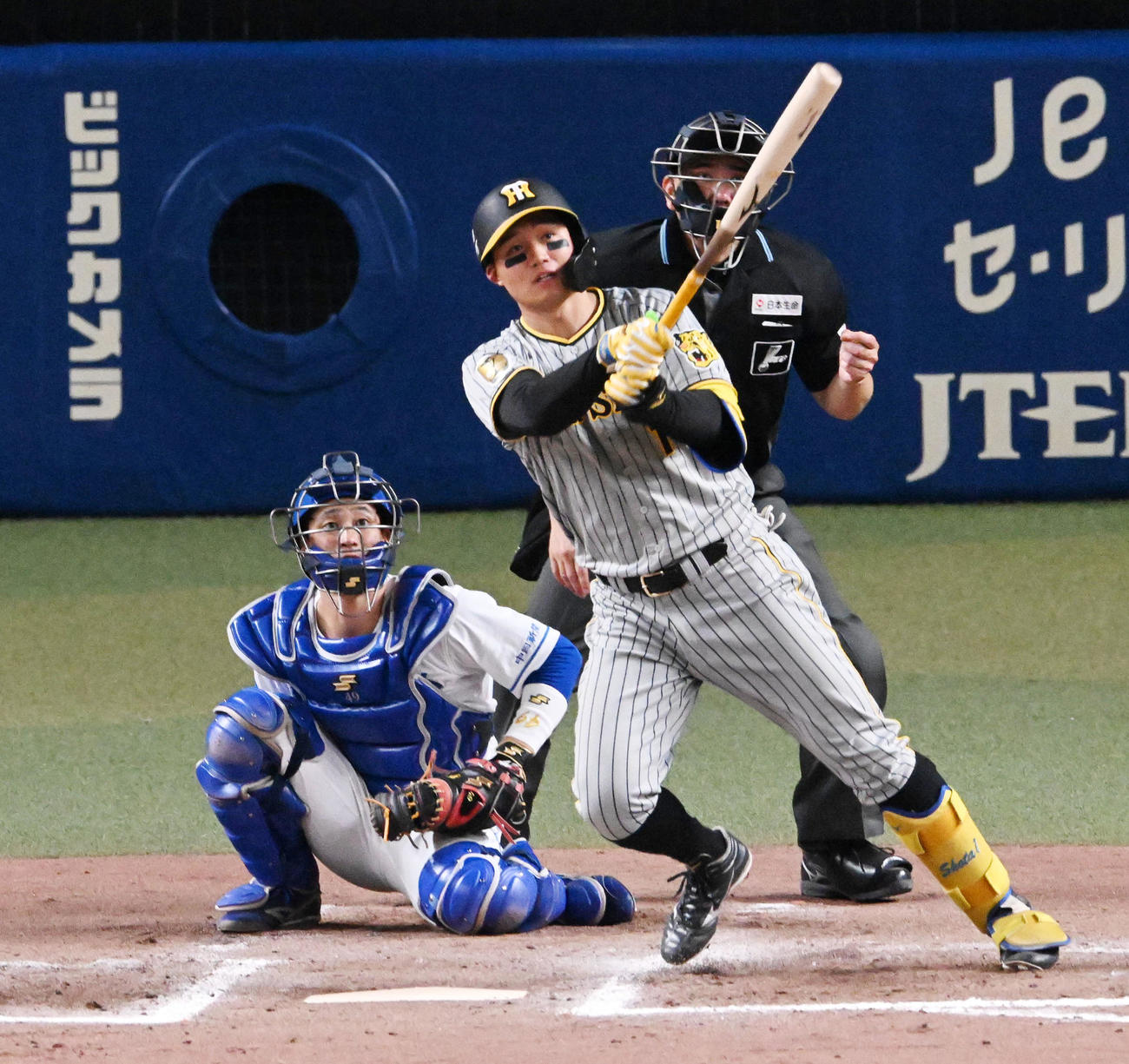 阪神の森下翔太（2024年5月15日撮影）