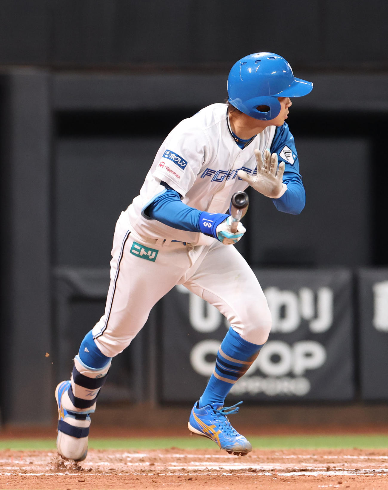日本ハム対オリックス　3回裏日本ハム1死三塁、中島は左前適時打を放つ（撮影・佐藤翔太）