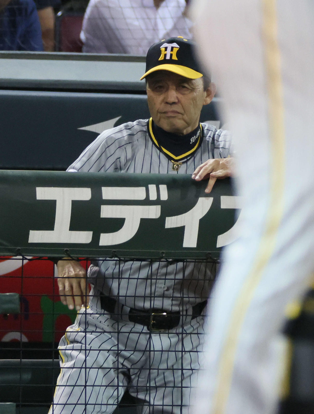 広島対阪神　9回表阪神、敗れた岡田監督（撮影・加藤孝規）