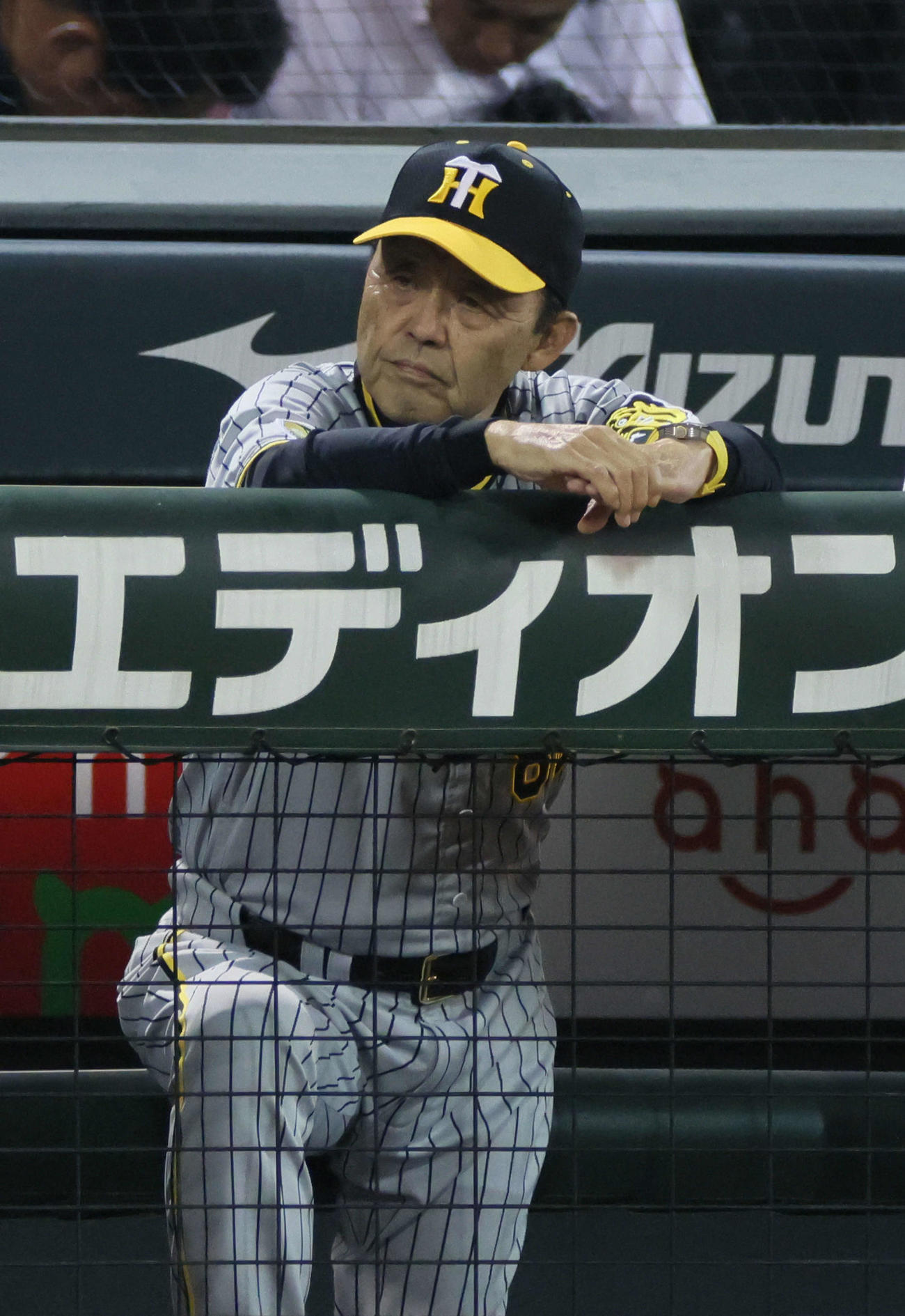 広島対阪神　9回表阪神、敗れた岡田監督（撮影・加藤孝規）