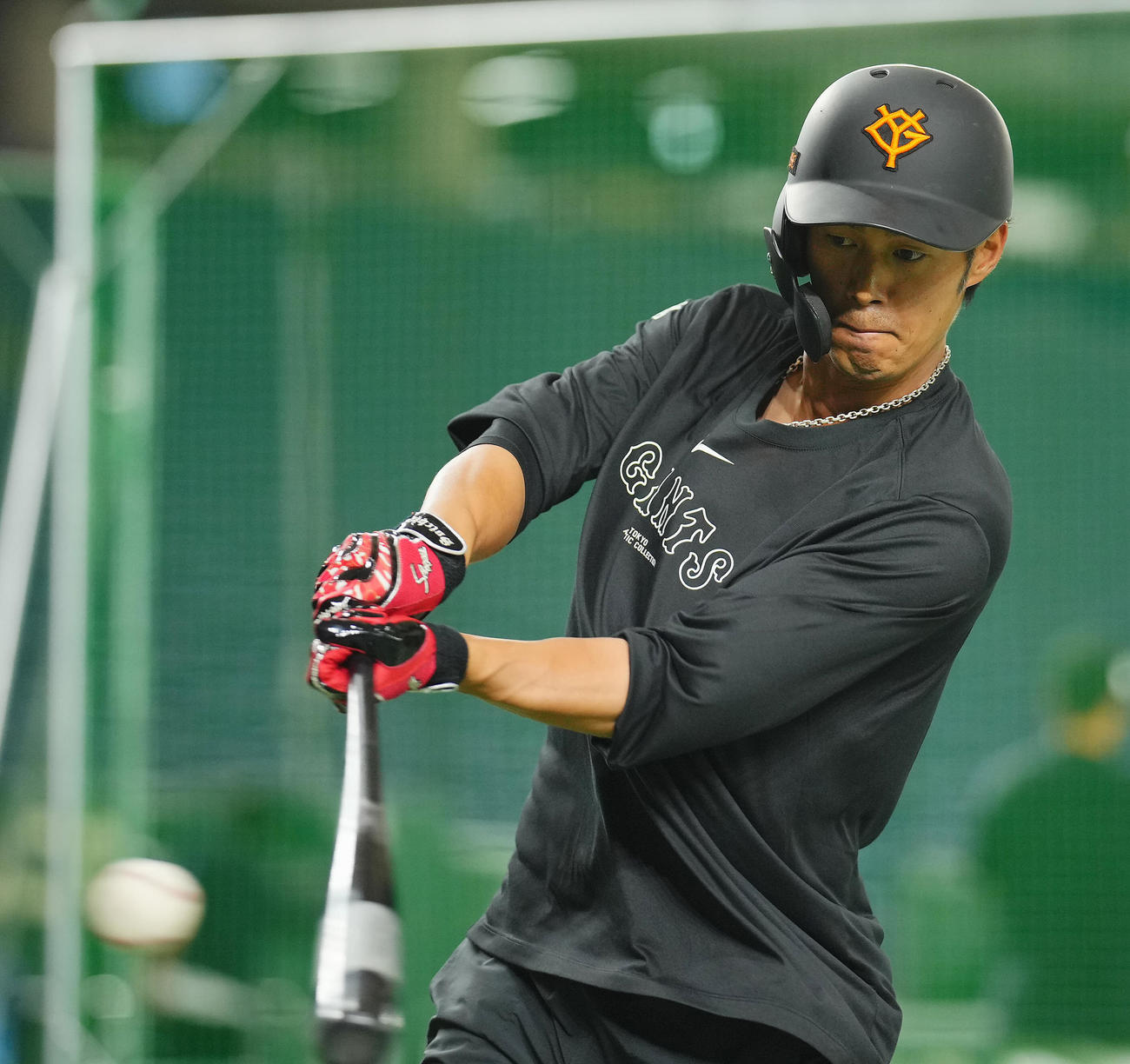 巨人対中日　試合前打撃練習を行う巨人立岡（撮影・垰建太）