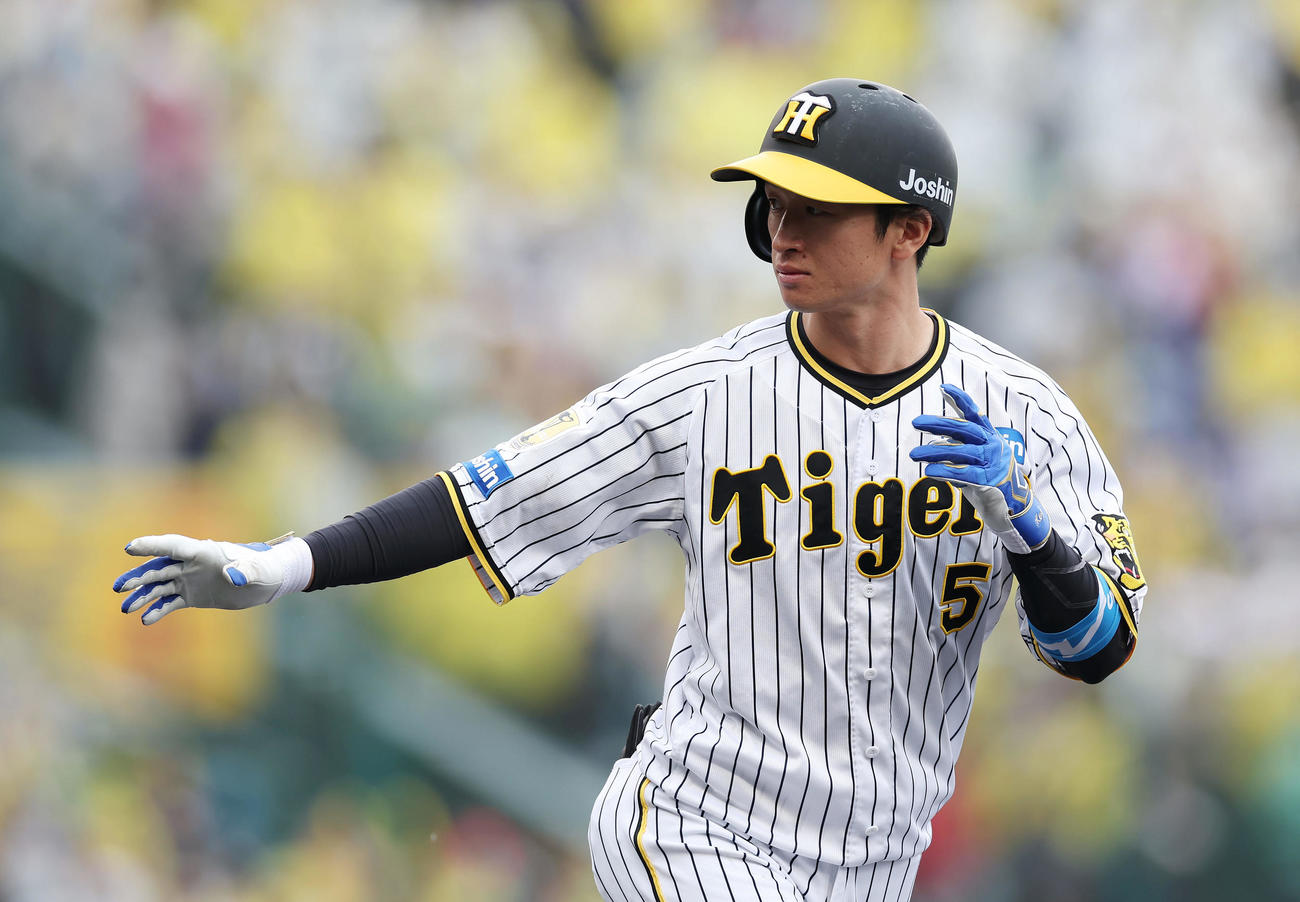 阪神近本光司（2024年5月19日撮影）