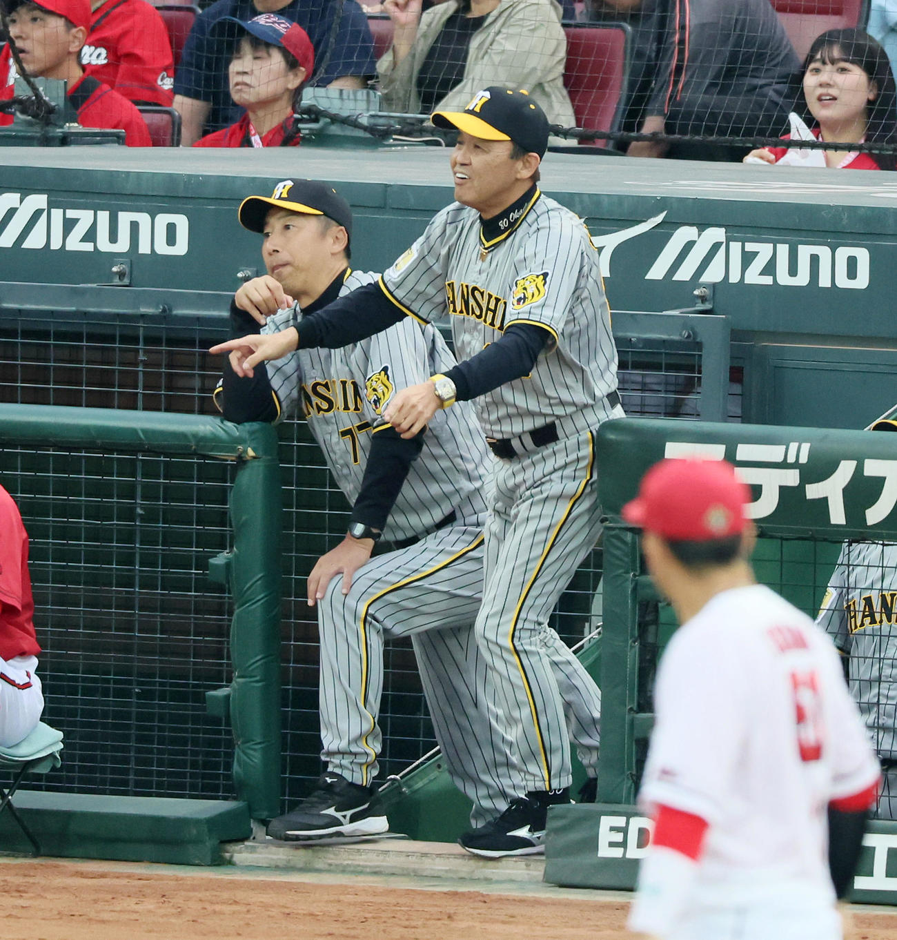 広島対阪神　3回表阪神無死一塁、岡田監督は中野の一塁判定にリクエストする（撮影・加藤哉）