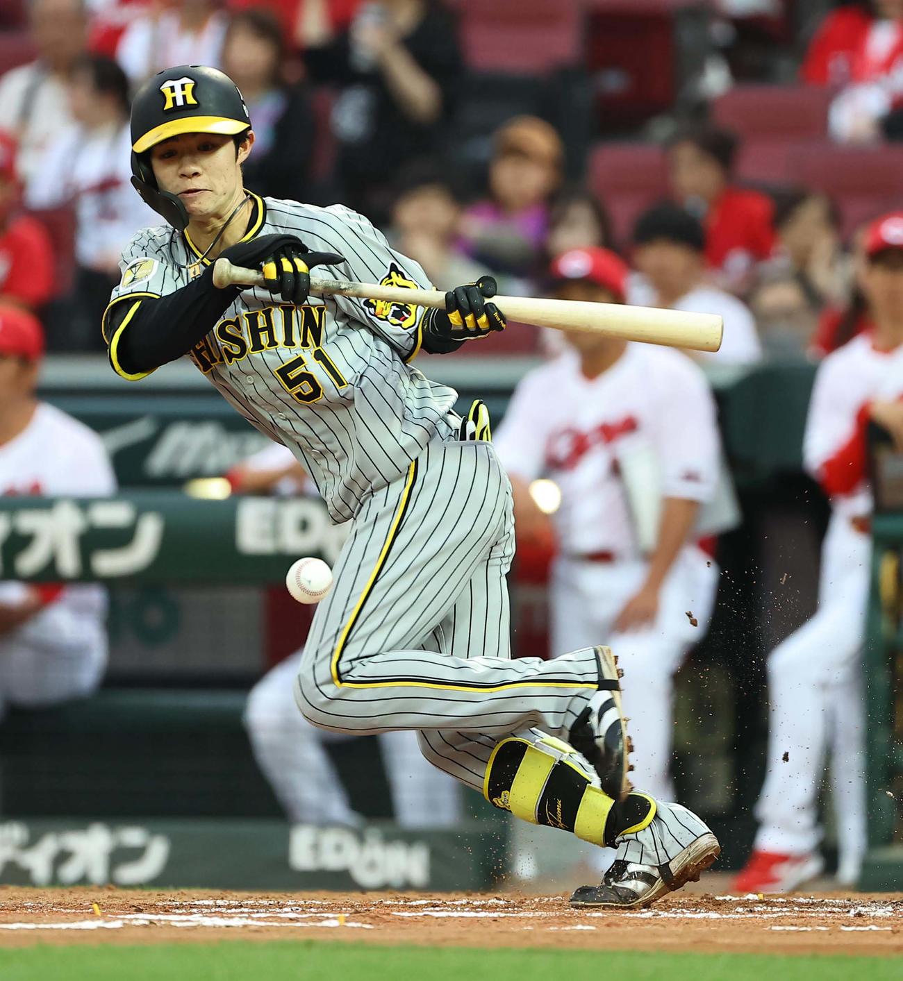 広島対阪神　3回表阪神無死一塁、セーフティーバントを決める中野（撮影・上田博志）