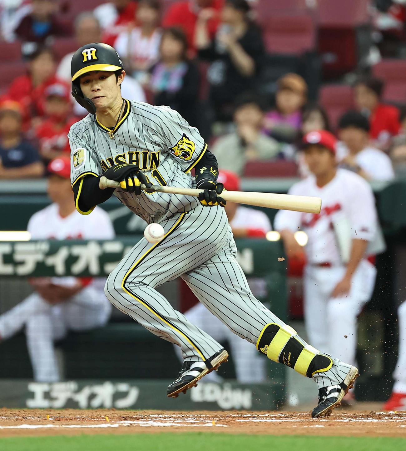 広島対阪神　3回表阪神無死一塁、セーフティーバントを決める中野（撮影・上田博志）