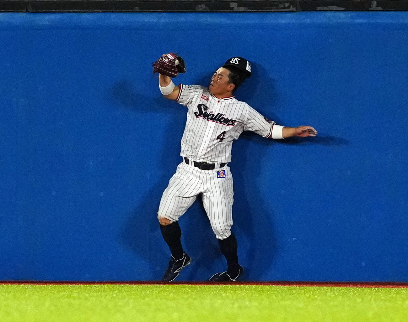 ヤクルト対DeNA 6回表DeNA2死一、二塁、宮崎敏郎の飛球をフェンスに激突をしながら捕球した中堅手丸山（撮影・たえ見朱実）
