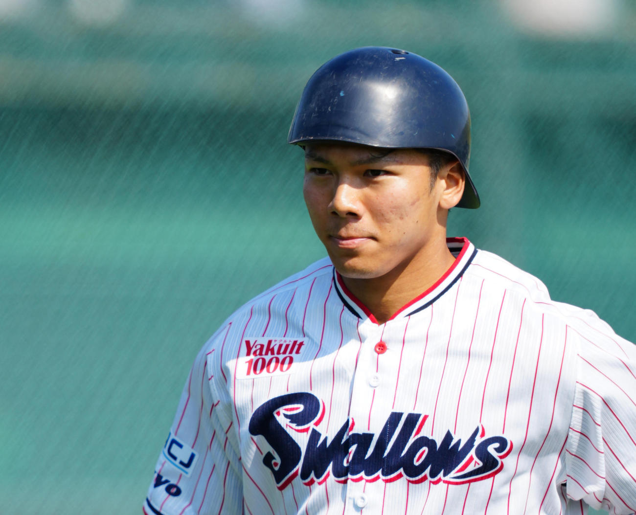 ヤクルト橋本星哉（24年3月撮影）