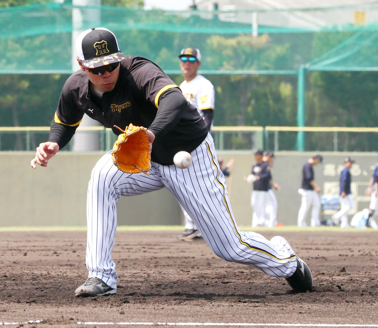 ウエスタン・リーグ　阪神対オリックス　鳴尾浜でノックを受ける阪神佐藤輝（撮影・上山淳一）