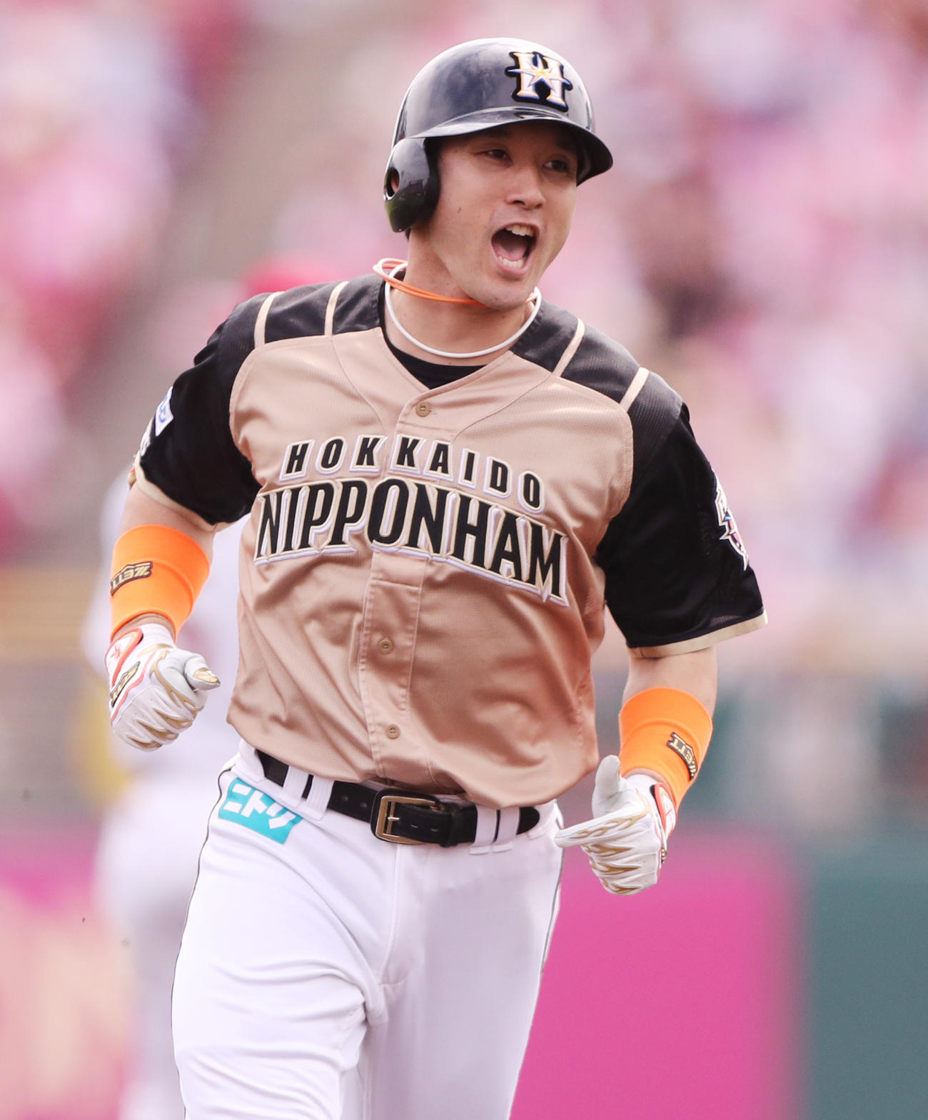 日本ハム時の杉谷拳士氏（2018年6月撮影）
