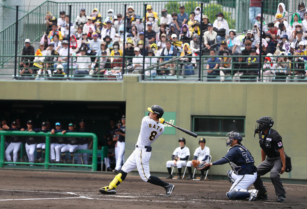 ウエスタン・リーグ　阪神対オリックス　2回裏阪神無死、佐藤輝は一直に倒れる（撮影・上山淳一）