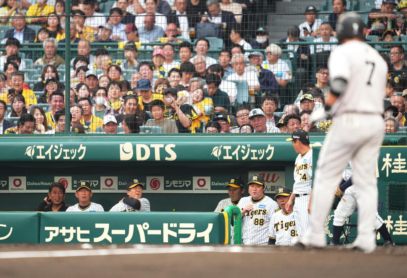 阪神対巨人　2回表巨人無死一塁、長野のベンチに飛び込むファウルボールに驚く阪神ベンチ（撮影・菅敏）
