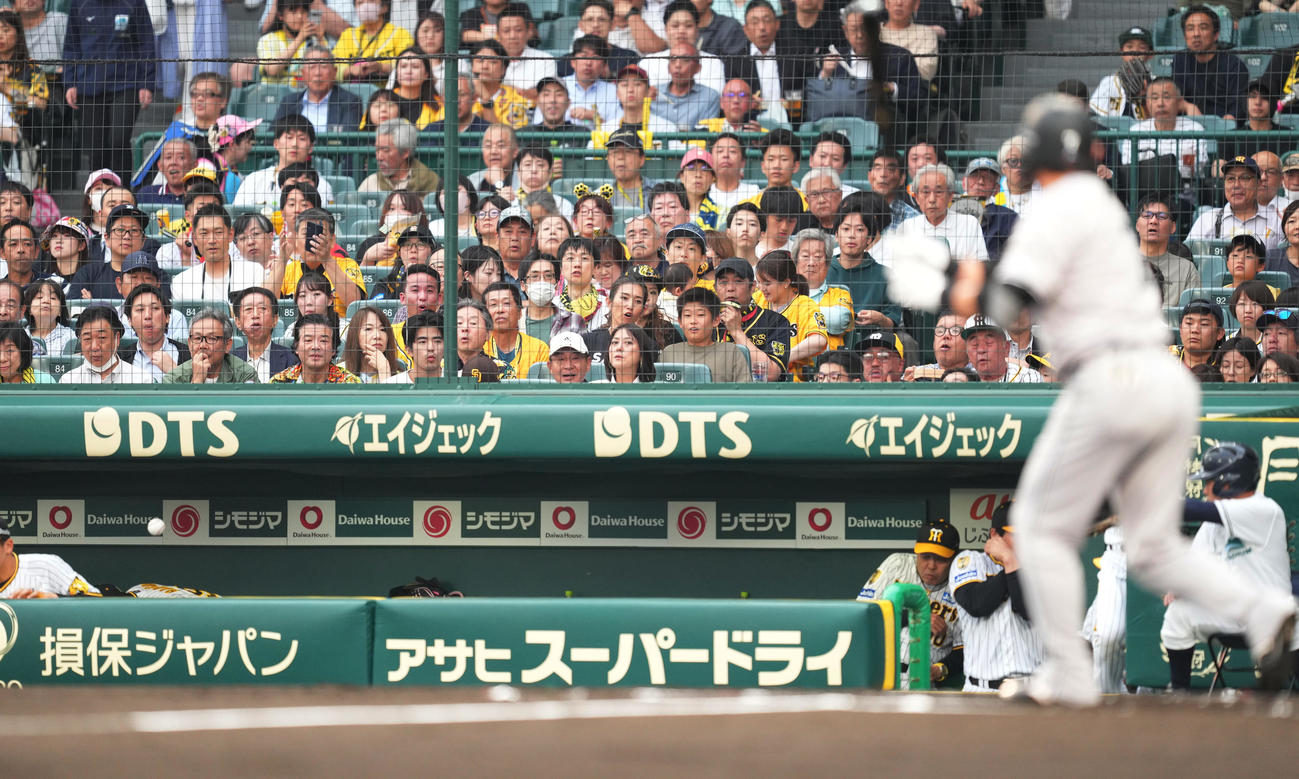 阪神対巨人　2回表巨人無死一塁、阪神ベンチにファウルボールを打ち込む長野（撮影・菅敏）