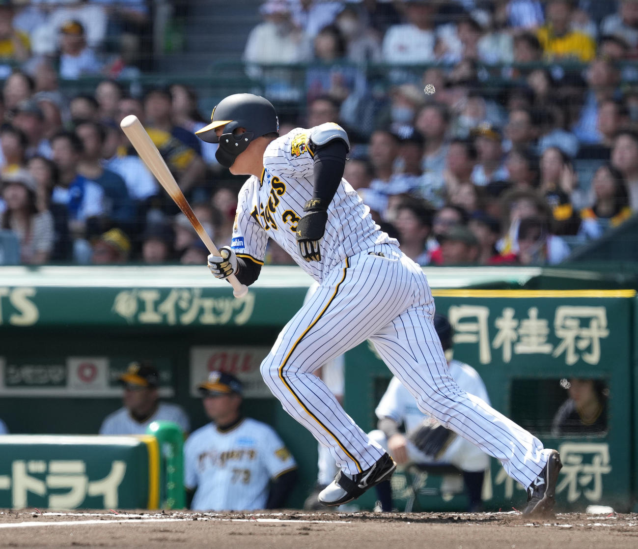 阪神対巨人　1回裏阪神2死一塁、右前打を放つ大山（撮影・菅敏）