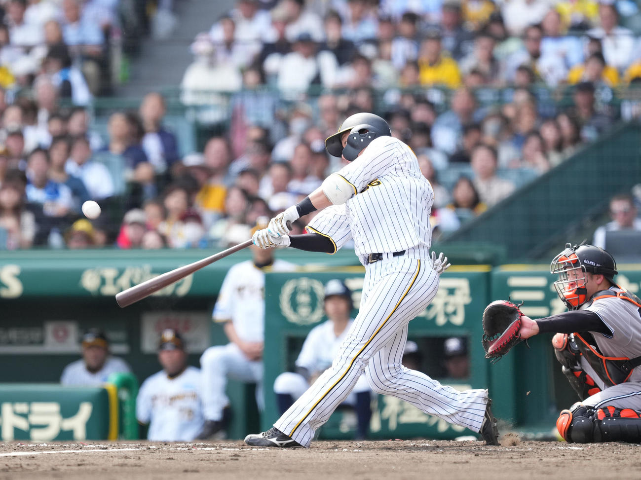 阪神対巨人　4回裏阪神無死、左越えにソロ本塁打を放つ渡辺（撮影・菅敏）