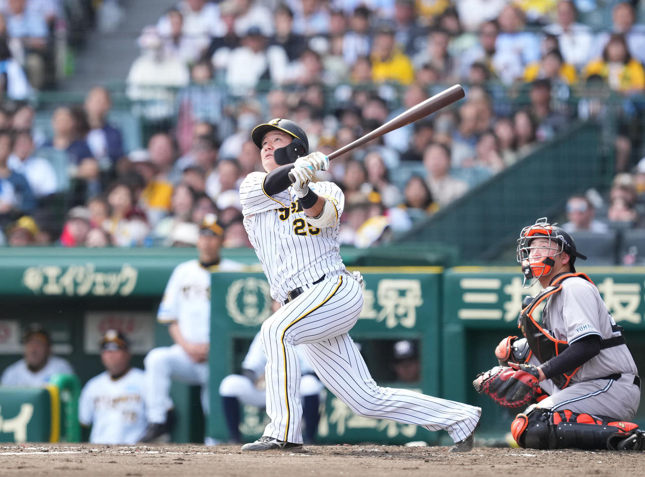 阪神対巨人　4回裏阪神無死、左越えにソロ本塁打を放つ渡辺（撮影・菅敏）