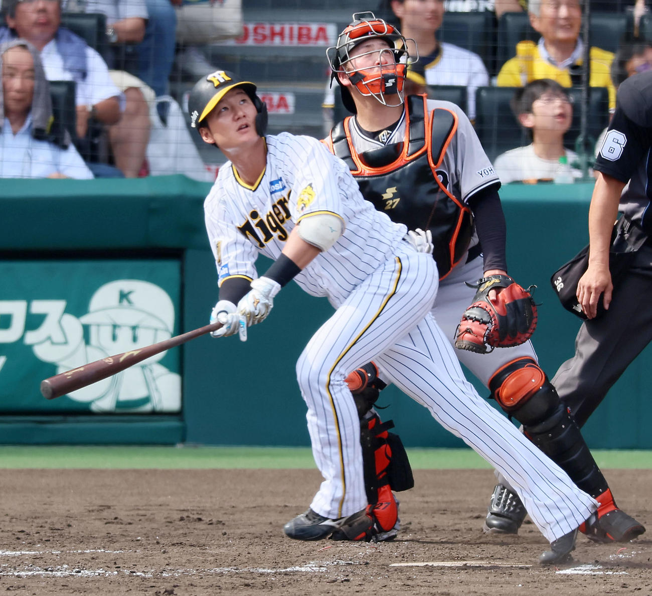 阪神対巨人　4回裏阪神無死、渡辺諒は左越えソロ本塁打を放つ（撮影・加藤哉）