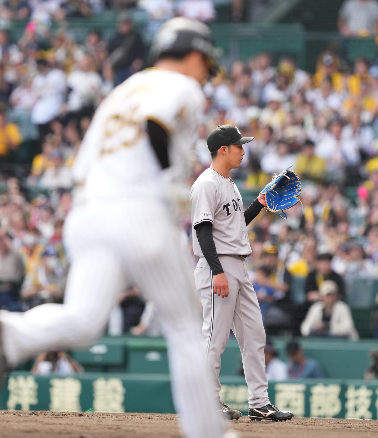 阪神対巨人　4回裏阪神無死、渡辺（手前）にソロ本塁打を打たれ、肩を落とす赤星（撮影・菅敏）
