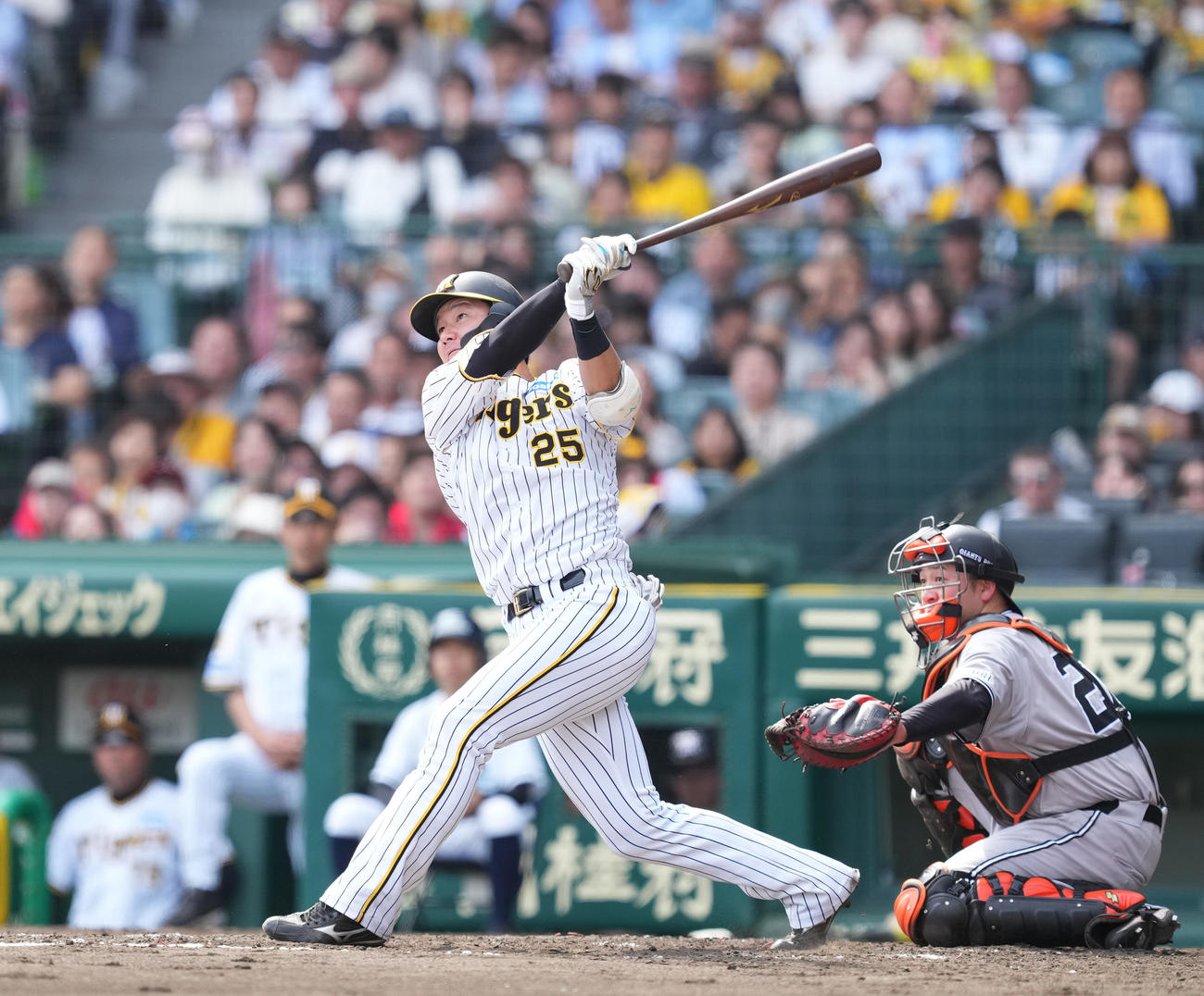 阪神対巨人　4回裏阪神無死、左越えにソロ本塁打を放つ渡辺（撮影・菅敏）