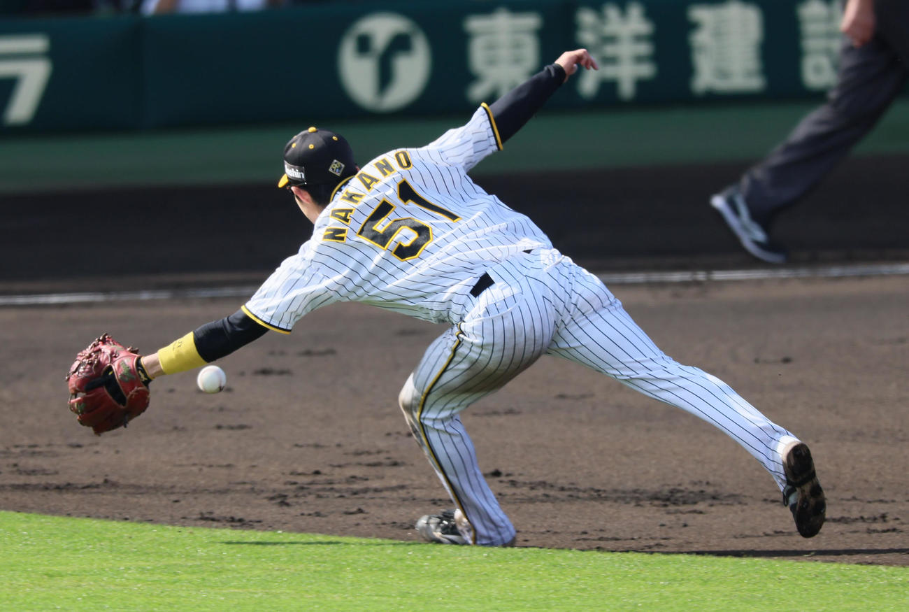 阪神対巨人　6回表巨人1死、中野は坂本の打球を好捕（撮影・加藤哉）
