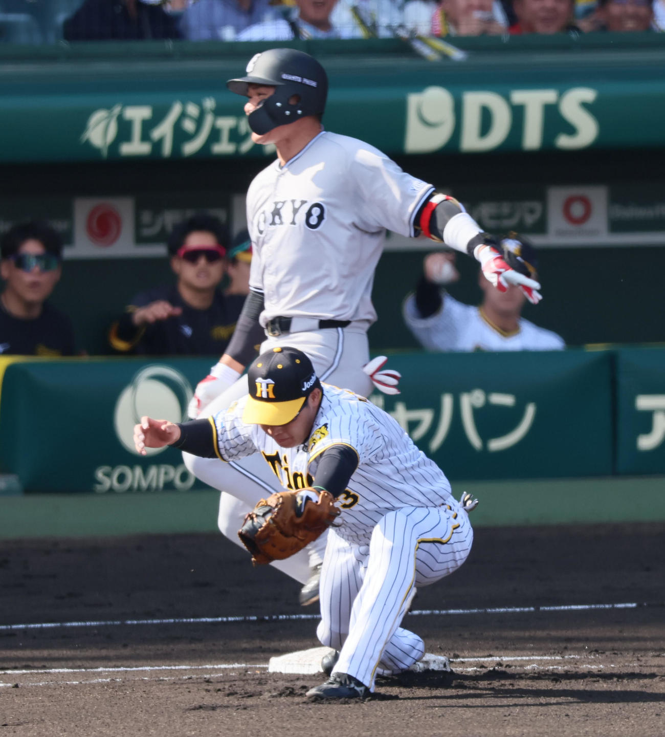 阪神対巨人　6回表巨人1死、大山は中野からの送球を受け坂本はアウトになる（撮影・加藤哉）
