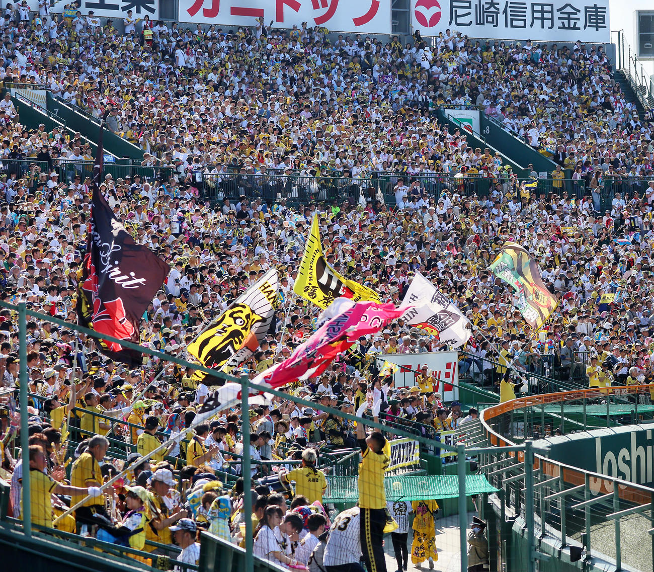 阪神対巨人　声援を送る阪神ファン（撮影・加藤哉）