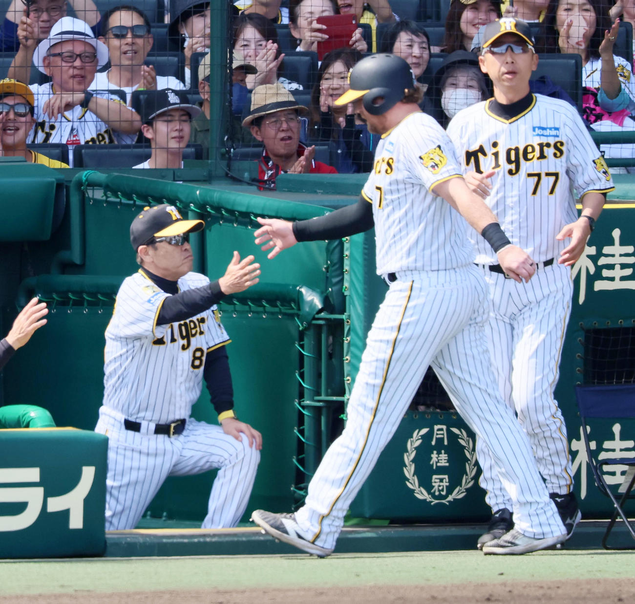 阪神対巨人　2回裏阪神1死二塁、木浪の適時二塁打で生還したノイジー（右）は岡田彰布監督とタッチ（撮影・加藤哉）