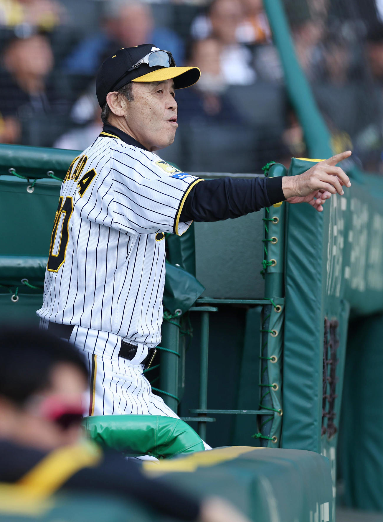 阪神対巨人　6回表巨人無死、坂本の二ゴロのセーフ判定に対してリクエストする岡田監督（撮影・前田充）
