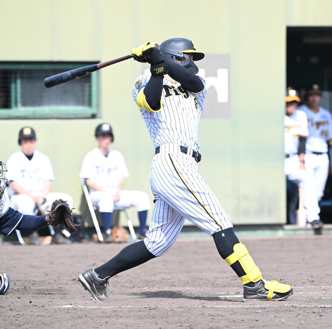 2軍阪神対オリックス　8回裏阪神1死、右前打を放つ佐藤（撮影・和賀正仁）