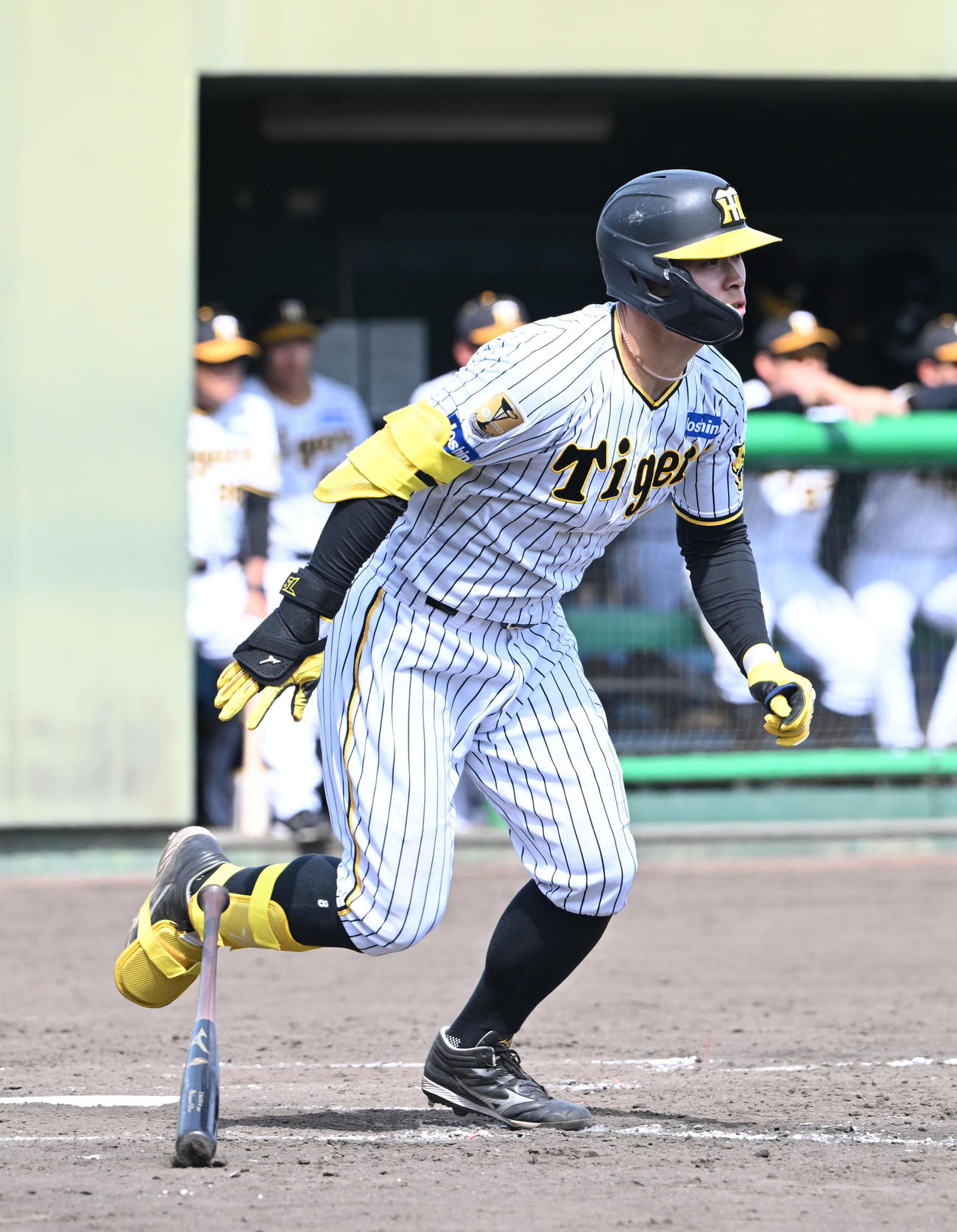 2軍阪神対オリックス　8回裏阪神1死、右前打を放つ佐藤（撮影・和賀正仁）