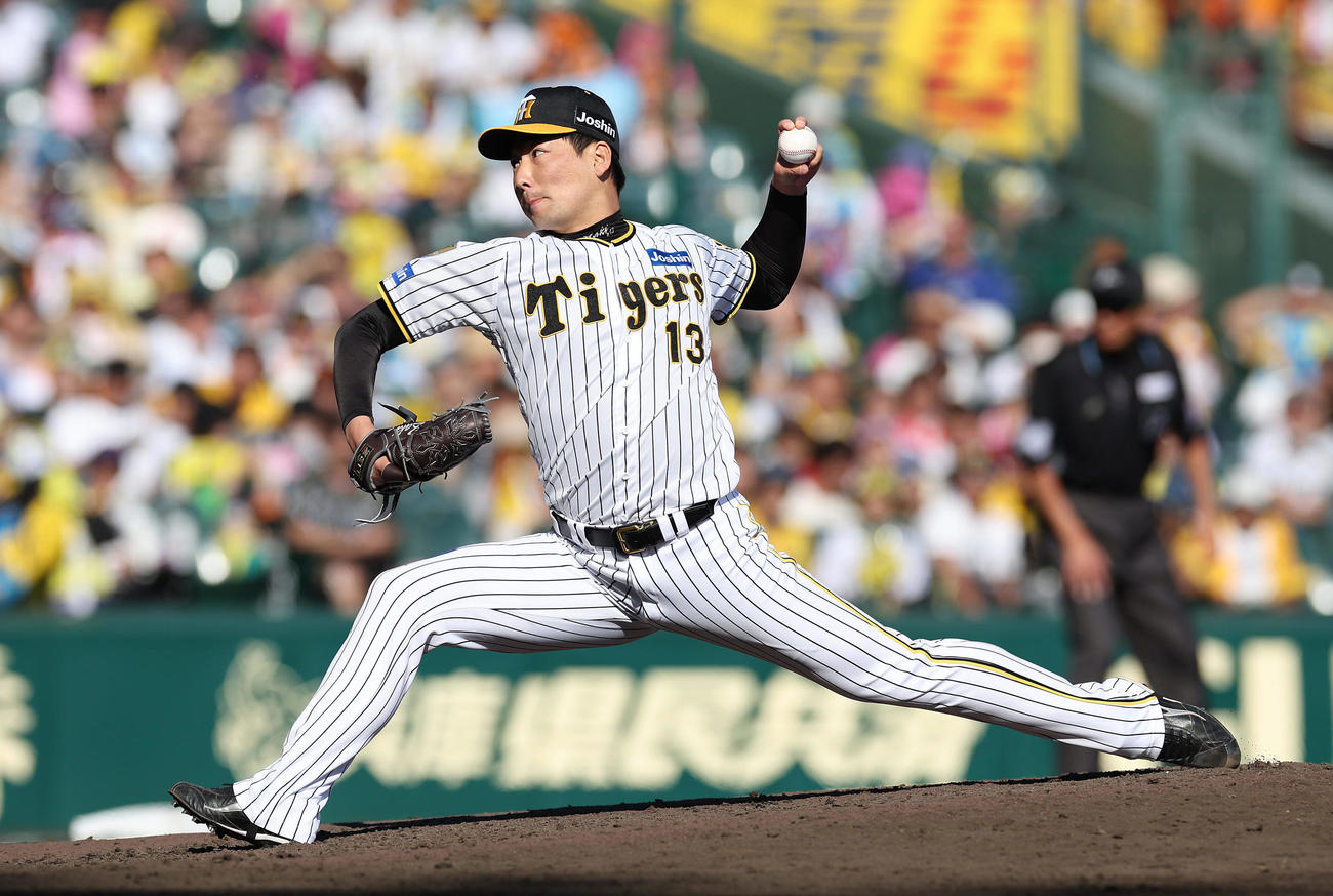 阪神対巨人　力投する阪神3番手の岩崎（撮影・前田充）