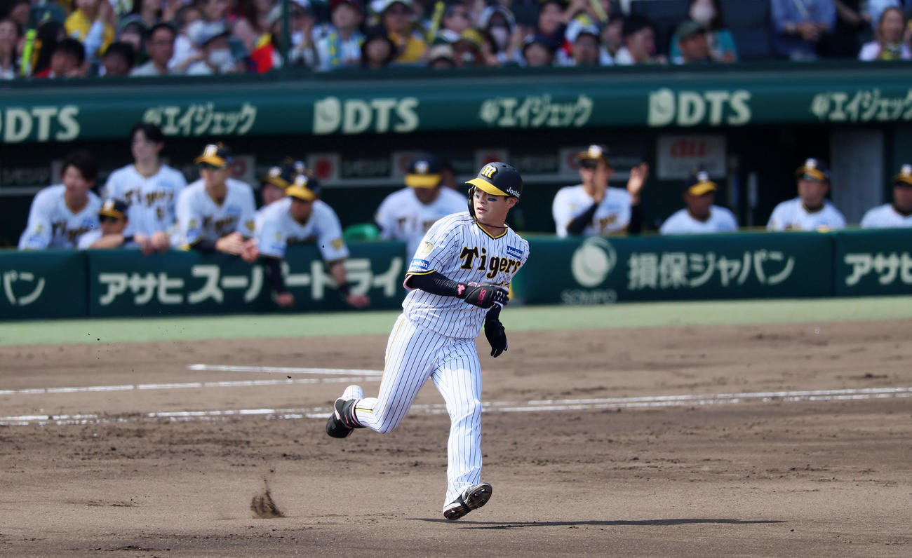 阪神対巨人　2回裏阪神1死二塁、木浪は右適時二塁打を放つ（撮影・加藤哉）