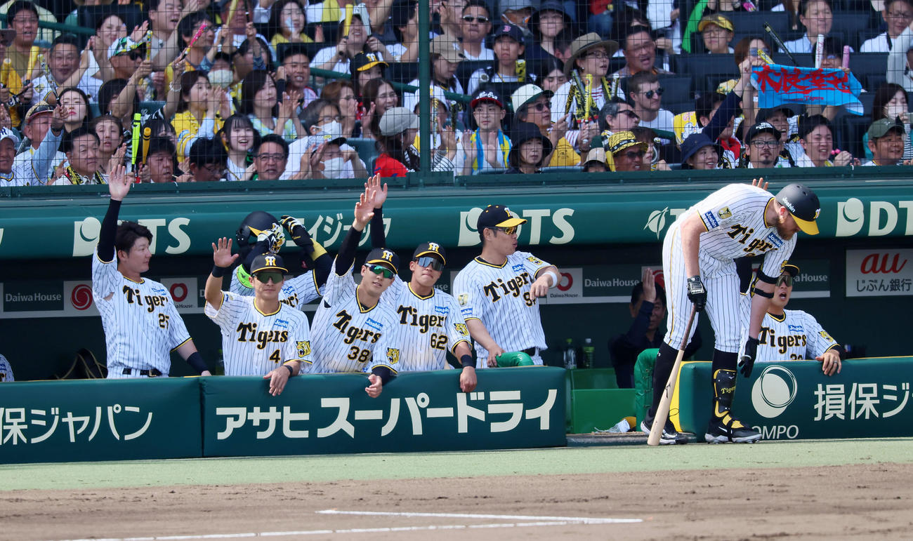 阪神対巨人　2回裏阪神1死二塁、木浪の右適時二塁打に喜ぶベンチのナイン（撮影・加藤哉）