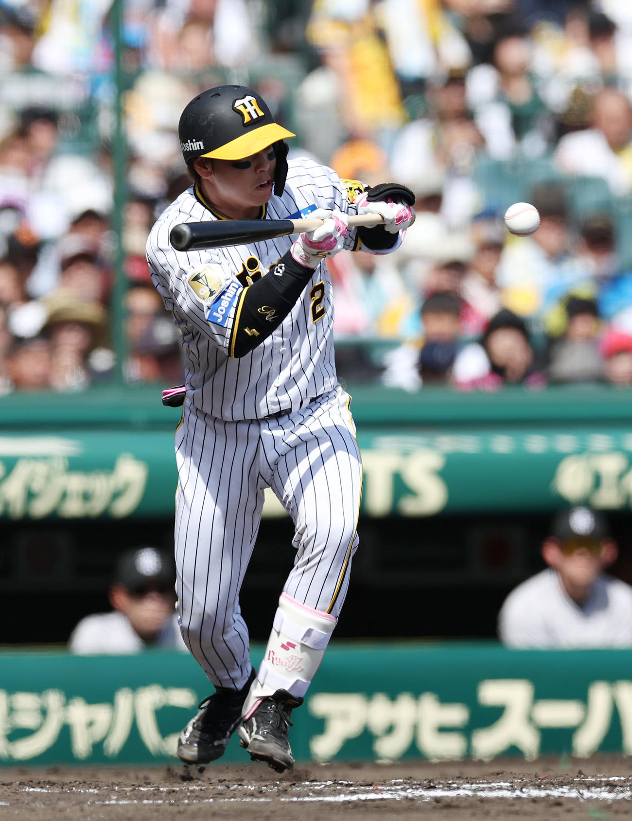 阪神対巨人　2回裏阪神無死一塁、犠打を決める梅野（撮影・前田充）