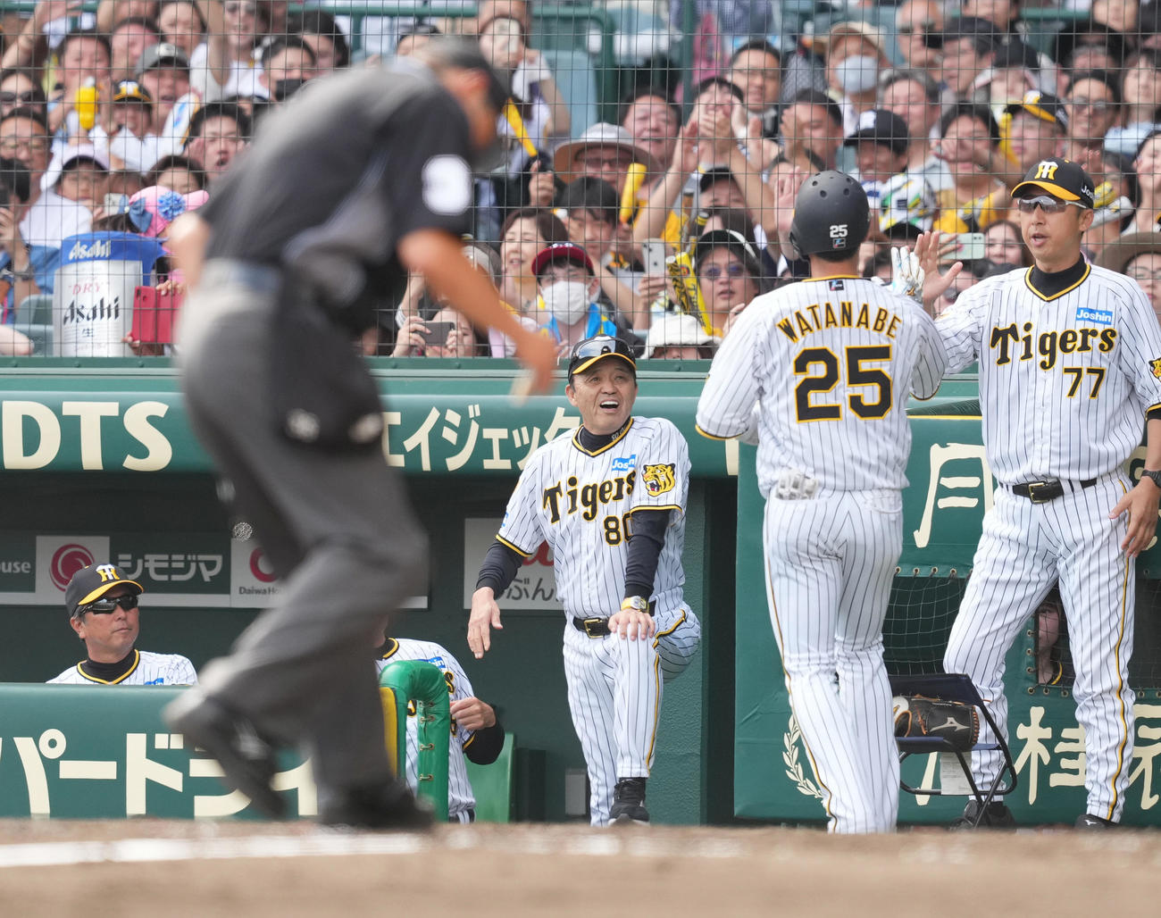 阪神対巨人　4回裏阪神無死、ソロ本塁打を放った渡辺（右から2人目）を迎える岡田彰布監督（中央）（撮影・菅敏）