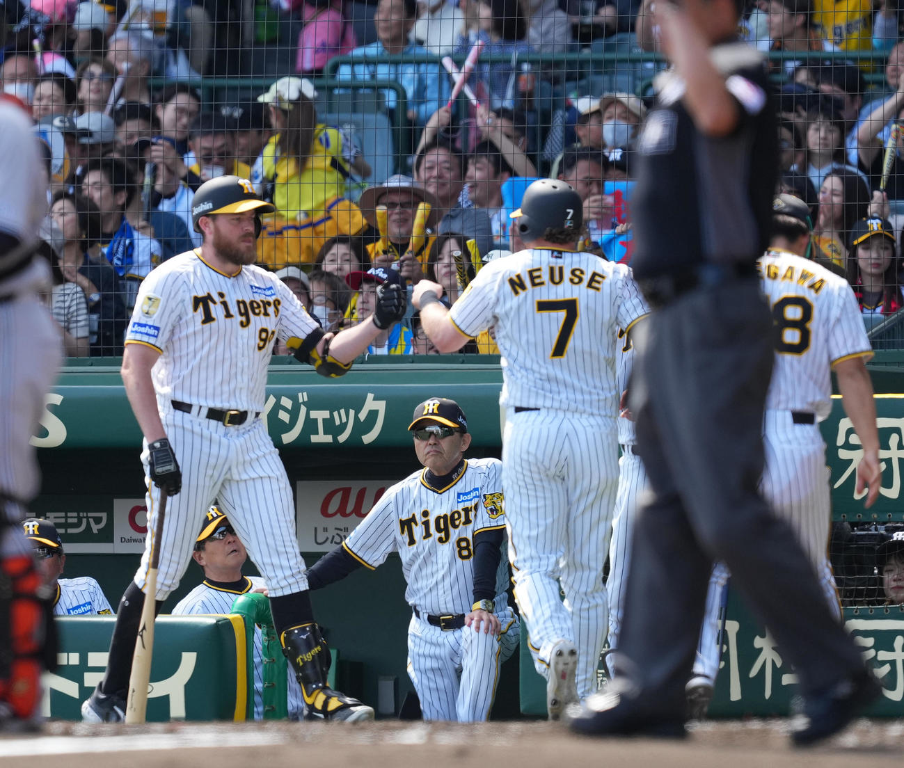 阪神対巨人　2回裏阪神1死一塁、木浪の先制の適時二塁打で一塁から生還したノイジー（右）を迎える岡田監督（中央）（撮影・菅敏）